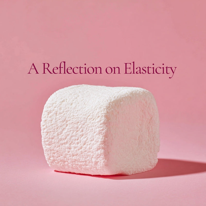 A Reflection on Elasticity