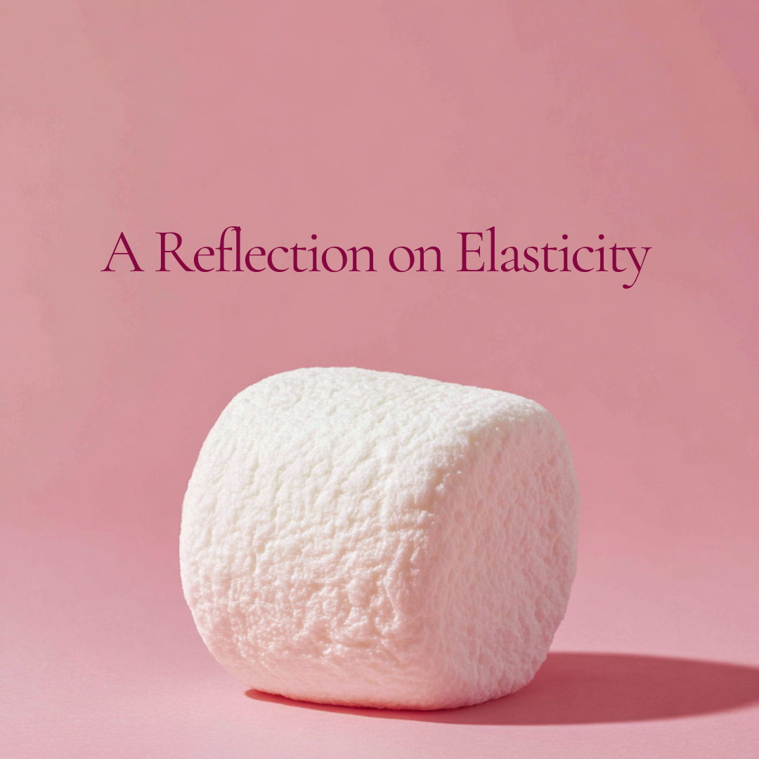 A Reflection on Elasticity