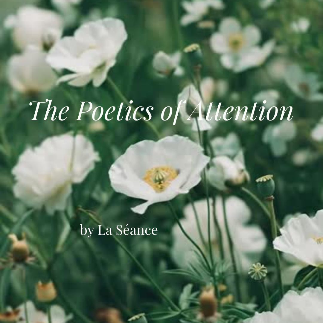 The Poetics of Attention