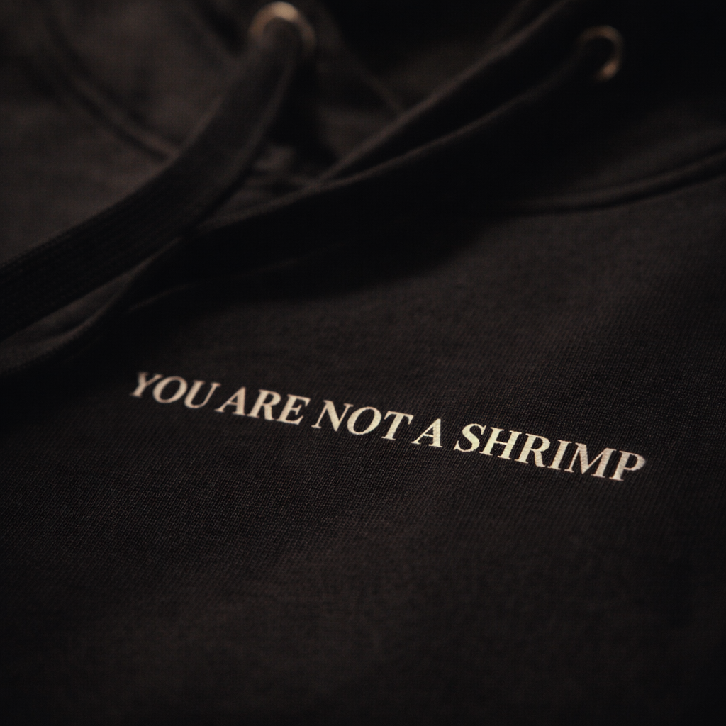 You Are Not a Shrimp — Cinematic Hoodie | La Séance